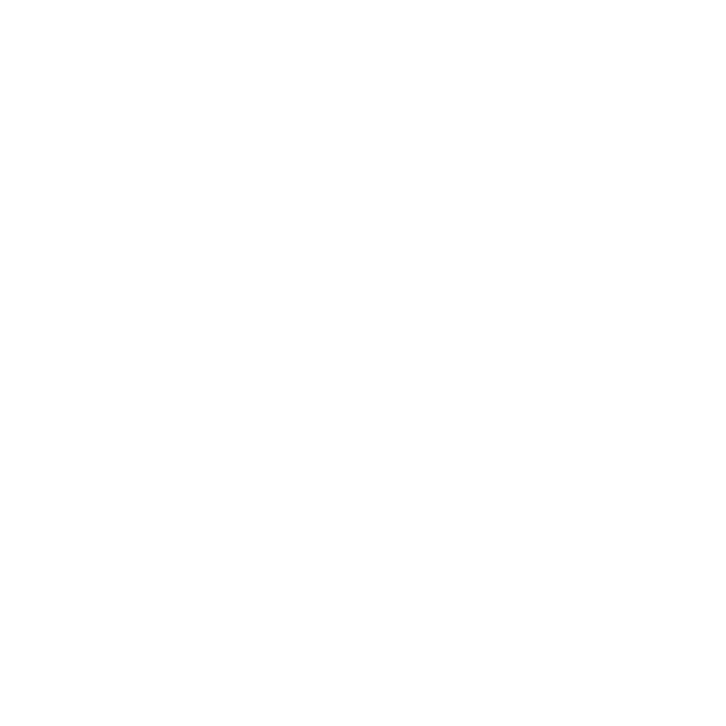 logo weiß